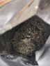 同仁堂同仁堂莓茶张家界正宗野生 头采龙须芽尖特优级永高山顺藤霉50g 实拍图