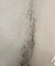家可美墙面去霉斑清除剂墙体除霉剂白墙墙纸霉菌清洁剂回南天墙壁发霉喷 墙体除霉剂2500ml1瓶+工具 实拍图