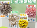 iosn蘑菇种植包儿童种植蘑菇小盆栽学校桌面趣味神奇植物家庭菌菇菌包 【礼盒装】杏鲍菇-送喷壶 【儿童趣味丨轻松养活丨可食用】 实拍图