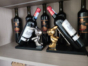 帕美居 新中式书房装饰品创意摆件禅意书柜书架现代酒柜摆设家居客厅电 轻奢金背酒兔红酒架 实拍图