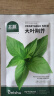 北蔬 荆芥种子种苗河南大叶四季种蔬菜种籽 大叶荆芥种子25g约1.2万粒 实拍图