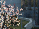 奥之心（OM SYSTEM）M.ZUIKO DIGITAL ED 75mm F1.8 长焦定焦人像镜头 微单镜头 黑色 等效150mm 实拍图