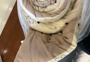 洁丽雅（Grace）A类面料 新疆长绒棉 棉花秋冬被芯150*200cm 6斤卡通熊 实拍图