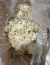 喜帅 白杨木刨花中号仓鼠垫料木屑垫料低尘金丝熊祛味吸尿造景用品1kg 实拍图