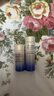 资生堂（Shiseido）悦薇水乳小样护肤品套装珀翡女士化妆品旅行套装 清爽小样2件(水25ml+乳液15ml) 实拍图