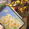 果坊【美国MFI认证】电容笔一二代ipad触控笔适用于苹果笔apple pencil防误触pro平板air4/5手写笔触屏 官配二代顶配版【磁吸快充丨倾斜压感丨蓝牙电量显示】 全屏防误触丨精准不断触丨 实拍图