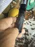 淘歌 TG 鱼缸加热棒防爆玻璃款50W 自动恒温精准温控 水族箱加热器 实拍图