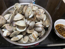 鲜活蛤蜊海捕无沙新鲜花甲贝类生鲜花蛤超大美贝蚬子海鲜水产顺丰 鲜活共3斤（2斤送1斤） 实拍图