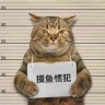 得力(deli)7.5m全包胶带锁定钢卷尺/测量尺 办公用品 8209 黄色 实拍图