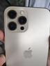 Apple iPhone 苹果12 Pro Max 二手手机 支持移动联通电信5G 学生机 国行 金色 512G 实拍图