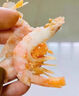 海皇湾格陵兰头籽北极甜虾北极熊腹籽刺身特大号冰虾元宝虾籽虾 90-120 4斤(净重)  【金标黄腹籽】 实拍图