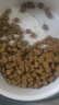 多格爸爸极地狩猎护理版低温烘焙狗粮81%肉中低脂0谷0薯0豆配方干净小颗粒 草本膳食鹅 1kg(1袋1kg+1袋50g试吃) 实拍图