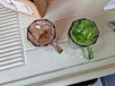 【高透加厚】刷牙漱口杯北欧ins简约轻奢情侣洗漱杯牙刷杯子牙缸 【加厚加大】碧玺色 实拍图