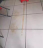 可其氏下水道杀虫剂管道地漏除灭小飞虫蛾蠓蚋隐翅虫爬虫药高效氯氰菊酯 实拍图