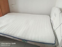 红豆乳胶床垫加厚记忆棉榻榻米抗压单双人家用宿舍床褥子床垫子 R白蓝（厚度约6cm） 150cm*200cm 实拍图