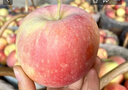 阿克苏苹果【新疆直发】阿克苏冰糖心苹果新鲜当季应季时令丑苹果水果红富士 带箱10斤【精选大果】 单果80-85mm 净重8.5斤 实拍图