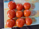 金百粟【顺丰】陕西泾阳普罗旺斯西红柿生吃沙瓤西红柿番茄蔬菜时令生鲜 普罗旺斯 3斤 中果-中通快递 实拍图