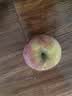 云南高山冰糖心丑苹果新鲜水果整箱礼盒脆甜多汁正宗丑苹果 5斤 商超大果（85-90） 实拍图