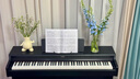 雅马哈（YAMAHA）耳机HPH-50B头戴式乐器耳机钢琴电子琴架子鼓专用音响手机听音乐 HPH-50B 实拍图