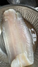 弹指鲜生巴沙鱼片 似龙利鱼 冷冻鱼片新鲜无刺无骨鱼肉净重 2.5kg 实拍图
