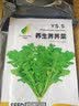 【农家菜园】白长茄子贝贝南瓜番茄重庆香菜天津青麻叶养生荠荠菜 【原装】养生荠荠菜约3000粒1包 实拍图