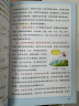 初中地理早入门 2025地理基础知识提前学漫画图解地理十万个为什么思维训练儿童普绘本小学通用百科全书 实拍图