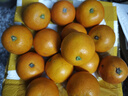 天乐优选麻阳冰糖橙新鲜橙子水果当季整箱果冻甜橙手剥橙子爆汁应季时令 带箱5斤单果60mm以下净重4.5斤 实拍图