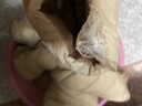 轻薄棉服女保暖内胆短款大码显瘦外套秋冬圆领外套女装 粉红色 2XL 建议80-110斤 实拍图