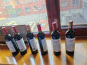 奔富（PENFOLDS）bin系列  澳洲干红酒葡萄酒 西拉赤霞珠 750ml 原瓶进口 聚餐送礼 奔富bin128干红葡萄酒*6瓶 晒单实拍图