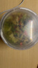 承真堂 菠菜干脱水蔬菜干菜干货冻干菠菜粒泡面伴侣方便面混合蔬菜包健 【混合蔬菜干】 【1罐】 实拍图