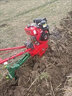 沃农赛德 顺丰包邮履带链轨式柴油微耕机开沟红牛松土耕地农用小红牛犁地 常州柴油178电启+翻转犁+开沟犁 晒单实拍图