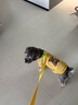嬉皮狗摇摇乐狗狗牵引绳背心式小型犬宠物胸背狗链 XL码 建议15-28斤 实拍图