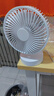 卡西道夫电风扇家用usb电扇台式小型迷你宿舍床头台扇桌面小风扇床上用便携办公室可充电大风力摇头风扇 15面宽插电款 【配Type-C接口数据线】 实拍图