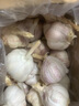 千封河南2025新蒜新干蒜多瓣蒜大蒜头紫皮大蒜批发 大蒜 2斤 实拍图