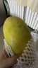 新鲜云南玉芒青芒特大青皮大青芒果新鲜水果当季孕妇水果 带箱5斤 实拍图
