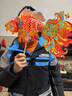 新玥灯笼2026元旦春节锦鲤灯笼手工diy仙鱼灯新年装饰儿童手提花灯 实拍图
