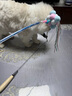 加仕高 猫咪玩具小猫玩具发声逗猫棒 三色毛球逗猫棒 实拍图