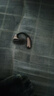 魔声Open Ear AC320无线蓝牙耳机骨传导概念挂耳式开放不入耳式超长续航运动降噪适用华为苹果 黑色【开放不漏音/久戴不痛】 定制AI版/实时翻译 实拍图