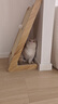 POPOCOLA剑麻猫抓板耐磨不掉屑耐抓猫窝一体猫爪盘盆圆形大号猫咪磨爪 实木立式剑麻猫抓板【猫抓球】 实拍图