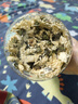 白菊花黄山贡菊花散装菊花茶另售杭白菊胎菊花茶组合菊花茶 贡菊花【1罐】共100克 优质无硫 实拍图