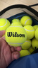 Wilson威尔胜无压力训练网球 袋装网球 练习网球 60个 WRT136000  实拍图