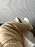 ZHR单鞋女真牛皮复古休闲女鞋百搭软底浅口鞋子女 AH582 米色  37 实拍图