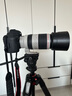 佳能100-400mm 4.5-5.6L IS II USM 远摄变焦 单反镜头  长焦套装 拍鸟超长焦 EF 100-400mmf/4.5-5.6L二代 官方 标配 实拍图