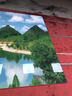 室外迎门墙瓷砖影壁画农村入户门墙装饰画别墅庭院迎客松磁砖壁画 高温烧微晶石/室外1平米 实拍图