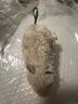 猫玩具小老鼠毛绒宠物猫咪玩具仿真遥控老鼠手动幼猫自嗨逗猫狗狗 【白色】发条小老鼠 实拍图