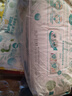 帮宝适（Pampers）清新透气 清新帮 M54片【清新帮纸尿裤】 实拍图