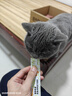 欢宠网洗猫袋猫咪洗澡神器多功能通用猫袋剪指甲/掏耳朵/防抓咬/固定袋  实拍图