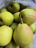 绿熊庄园正宗新疆库尔勒香梨酥脆甜多汁冰糖雪梨丑梨子果蔬生鲜水果礼盒装 24枚 单果70g-100g蛋托礼盒装 实拍图