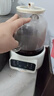 APIXINTL日本安本素养生壶家用迷你养生杯 煮茶器 煮茶壶烧水壶电热水壶办公室全玻璃多功能全自动花茶壶 【花茶壶-轻奢高颜】-触屏款 1.2L 实拍图