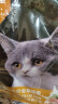 亿迪 猫粮10斤幼猫成猫老年全价全阶段蓝猫英短通用粮大包装 实拍图